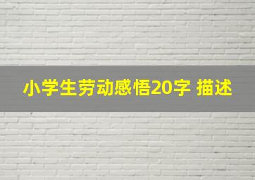 小学生劳动感悟20字 描述